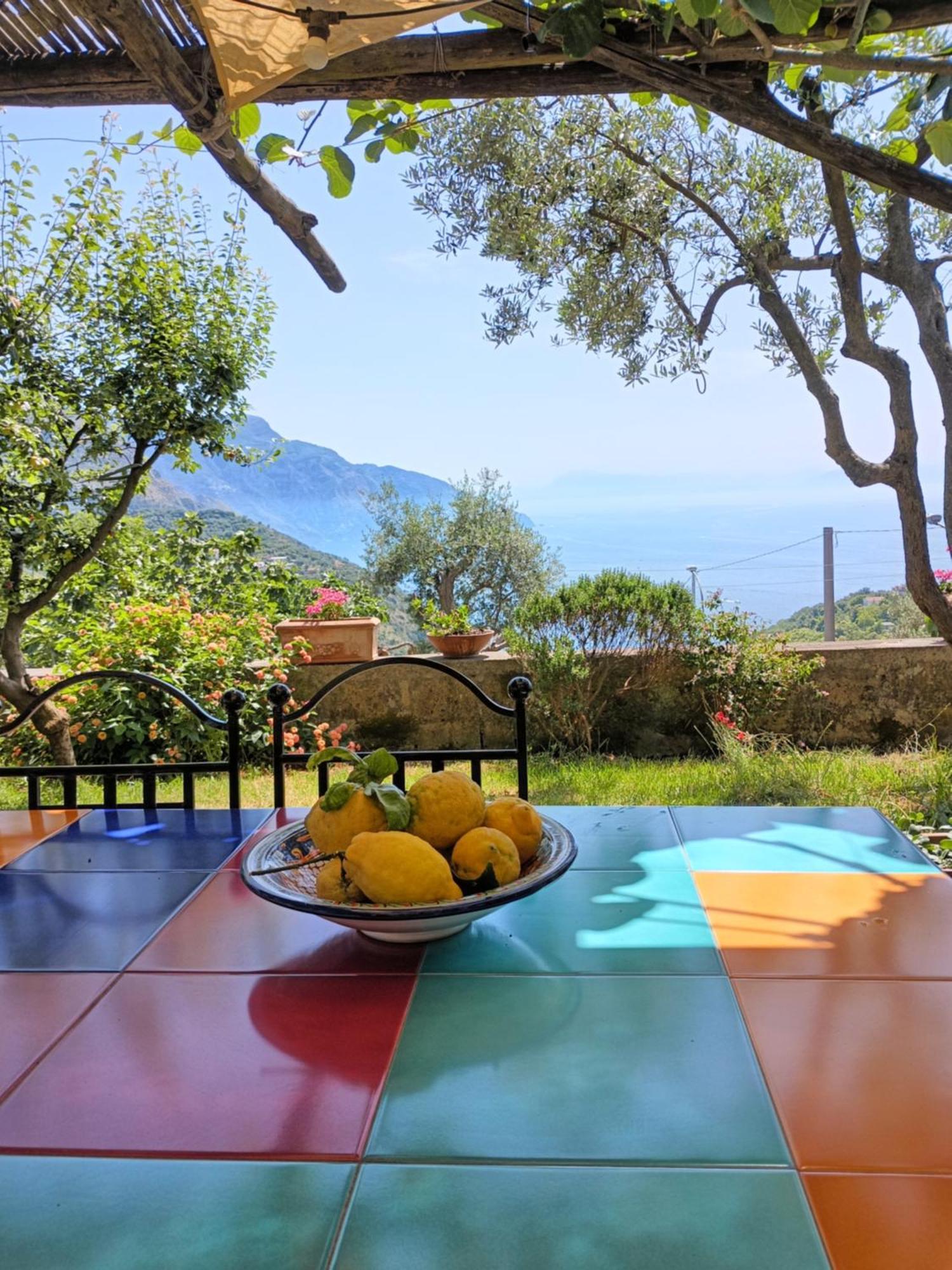 Amalfi Coast, Positano, Sorrento, Capri, Garden, Villa Carcara Colli di Fontanelle Buitenkant foto
