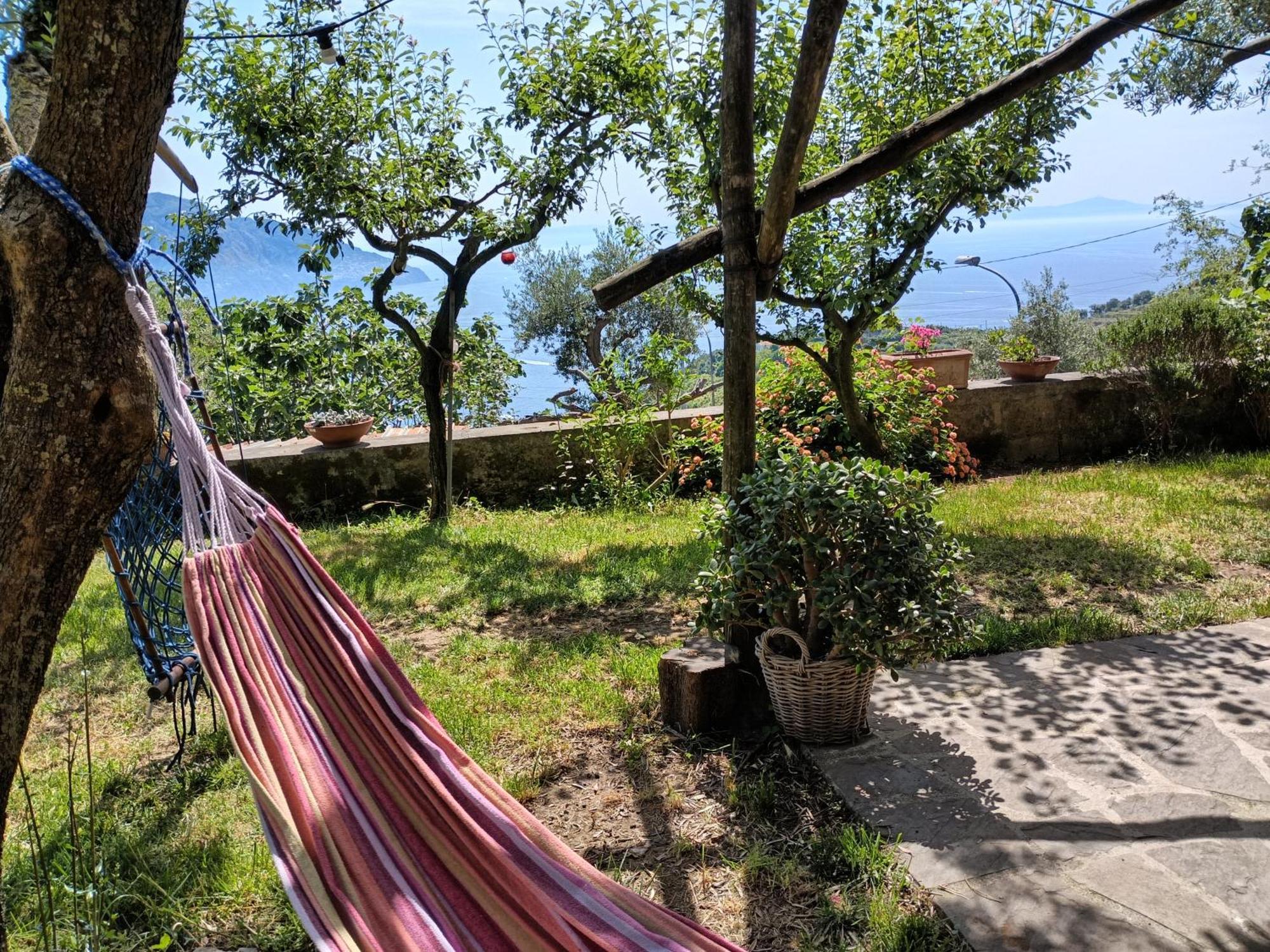 Amalfi Coast, Positano, Sorrento, Capri, Garden, Villa Carcara Colli di Fontanelle Buitenkant foto