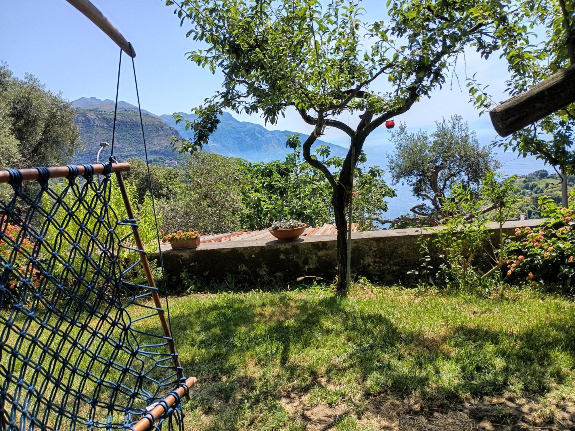 Amalfi Coast, Positano, Sorrento, Capri, Garden, Villa Carcara Colli di Fontanelle Buitenkant foto