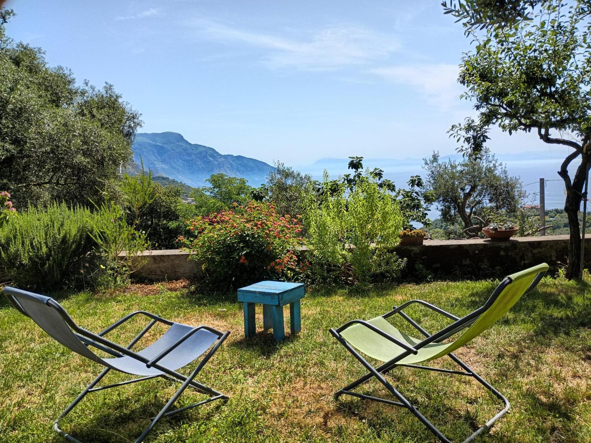 Amalfi Coast, Positano, Sorrento, Capri, Garden, Villa Carcara Colli di Fontanelle Buitenkant foto
